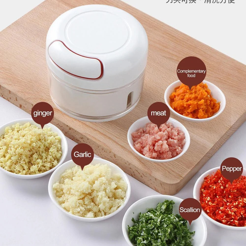 Multi-functional Mini Food Chopper